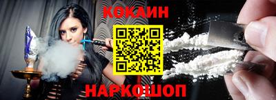 индика Гатчина