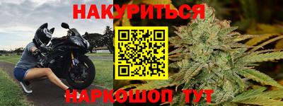 индика Гатчина