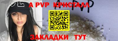 индика Гатчина