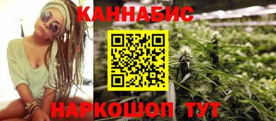 индика Гатчина