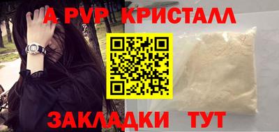 индика Гатчина