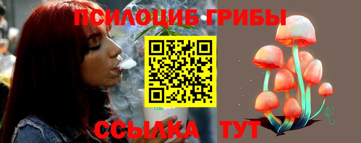 Назрань  Псилоцибиновые грибы GOLDEN TEACHER  Вход с VPN 